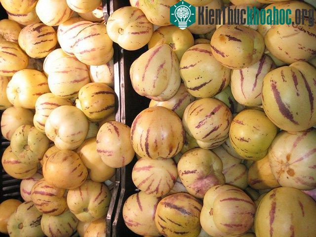 Hương vị của nó rất thơm ngon, ngọt ngào