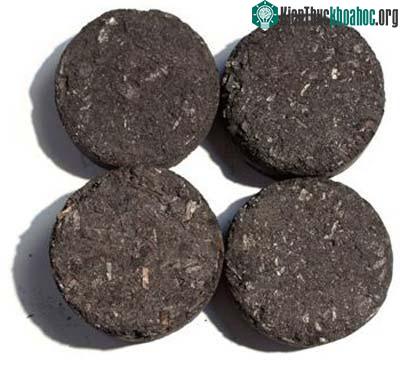 Những sáng chế hữu dụng cho người nghèo ảnh 4