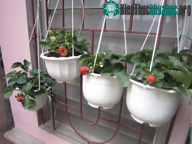 Có thể tận dụng được những diện tích nhỏ khi treo lên