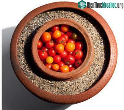 Những sáng chế hữu dụng cho người nghèo ảnh 5