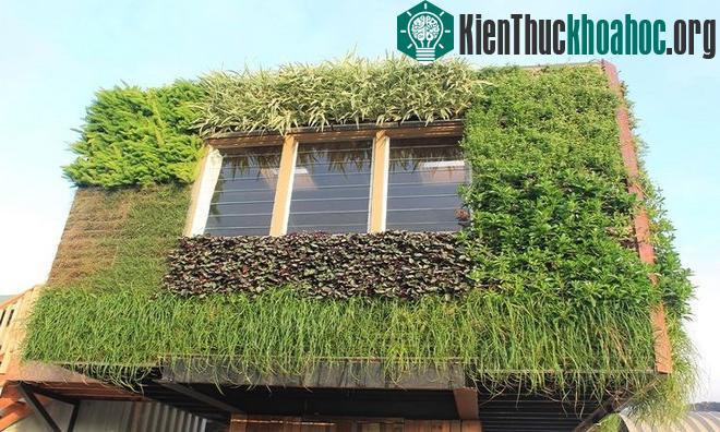 Nhà cây một cột sử dụng pin Mặt Trời