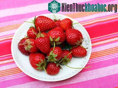 Cuối cùng, hãy thưởng thức những quả dâu tây chín mọng, ngon và siêu sạch