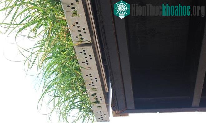 Nhà cây một cột sử dụng pin Mặt Trời