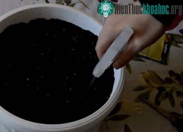 Ngâm hạt vào nước ấm theo tỉ lệ 2 sôi 3 lạnh rồi để qua đêm