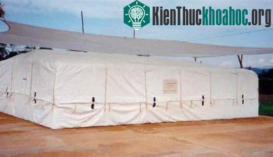 Bảo quản các giống cây trồng quý hiếm.