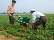 Sinh viên chế tạo máy bón phân ảnh 0
