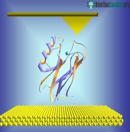 Phát hiện các kháng nguyên ung thư bằng các hốc nano ảnh 0
