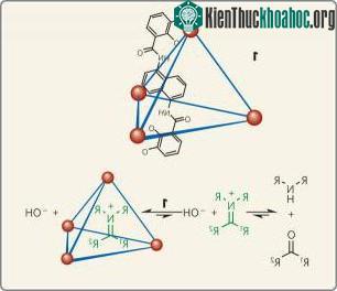 Phát hiện phương pháp mới để “Bắt Giữ” các hợp chất trung gian trong nước ảnh 0