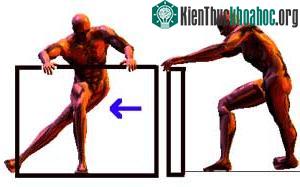 Không có ma sát, tất cả sẽ bị trượt đi