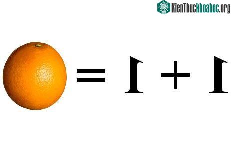 Câu trả lời cho "Tại sao 1 + 1 = 2?" ảnh 0