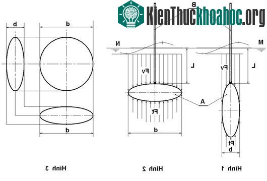 Đinh luật Acsimet liệu có đúng?