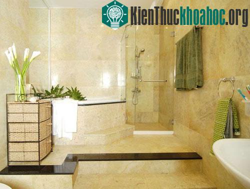 Ảnh minh họa: kinhtrangtri.com
