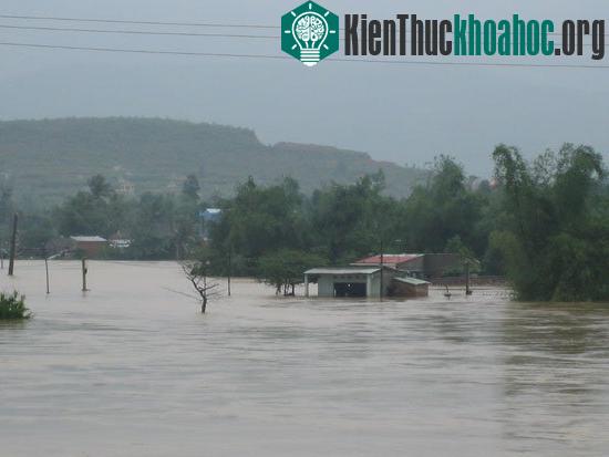 Nền nhà cho người dân vùng lũ, lụt ảnh 0