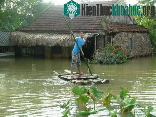 Giải pháp khắc phục tình trạng "sống chung với lũ" ảnh 0