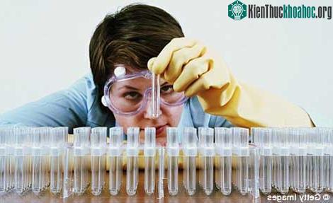 Tìm thấy gen giúp cơ thể tự chữa virut HIV ảnh 0