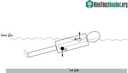 Phương pháp để nổi trên nước lâu không cần cử động ảnh 0