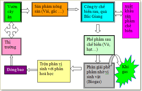 Giải pháp xử lý phế phẩm sau chế biến tại Công ty chế biến rau quả Bắc Giang. ảnh 0