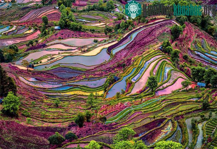 Vùng trung tâm của ruộng bậc thang nằm ở Nguyên Dương, tỉnh Vân Nam, Trung Quốc.
