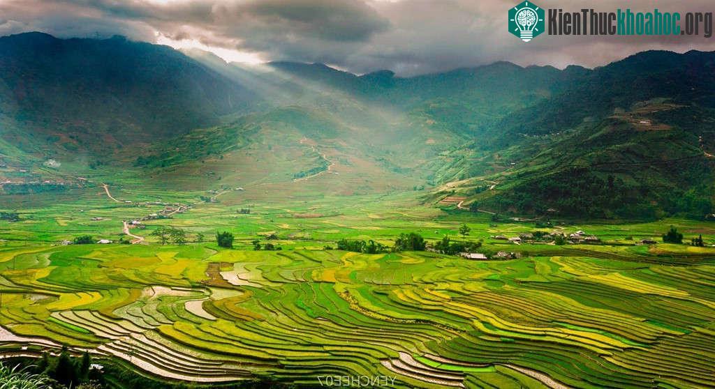 Đến huyện Mù Cang Chải, tỉnh Yên Bái vào thời điểm này, du khách không còn được chiêm ngưỡng cảnh đổ nước vào ruộng bậc thang, do ở một số nơi bà con đã gần kết thúc vụ đổ ải, cấy mạ. Tuy nhiên sự ...