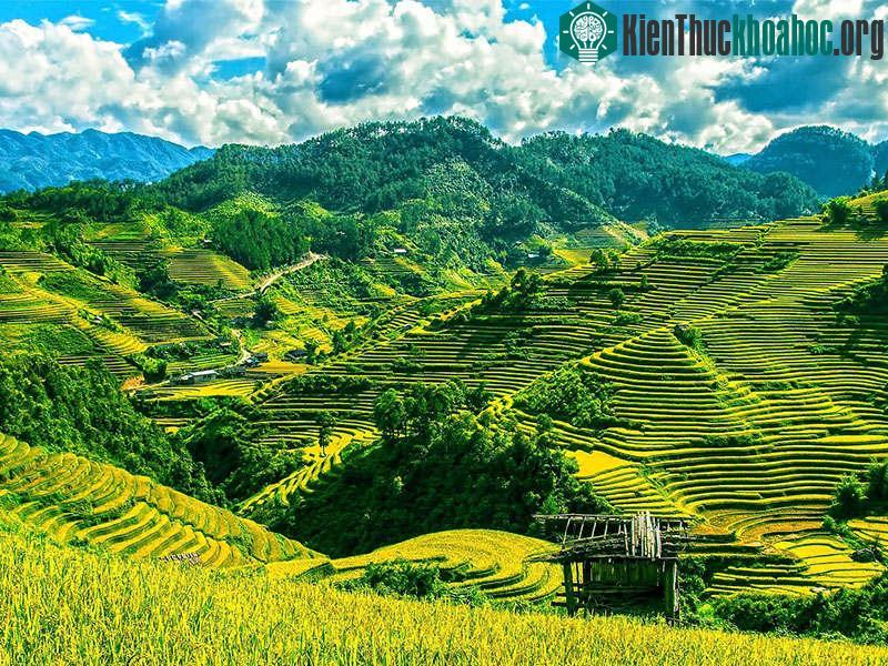 Việt Nam