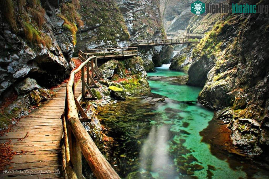 Hẻm núi Bled, Slovenia