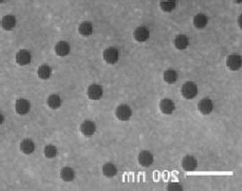 Phát hiện các kháng nguyên ung thư bằng các hốc nano ảnh 1