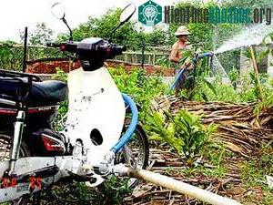Bơm nước bằng... động cơ xe gắn máy ảnh 1