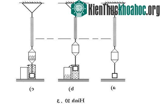 Đinh luật Acsimet liệu có đúng?