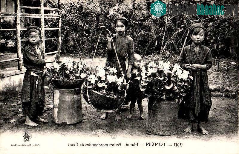 Gánh hàng hoa trong chợ Tết