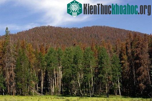 Sự thay đổi khủng khiếp của Trái đất do biến đổi khí hậu- ảnh 2