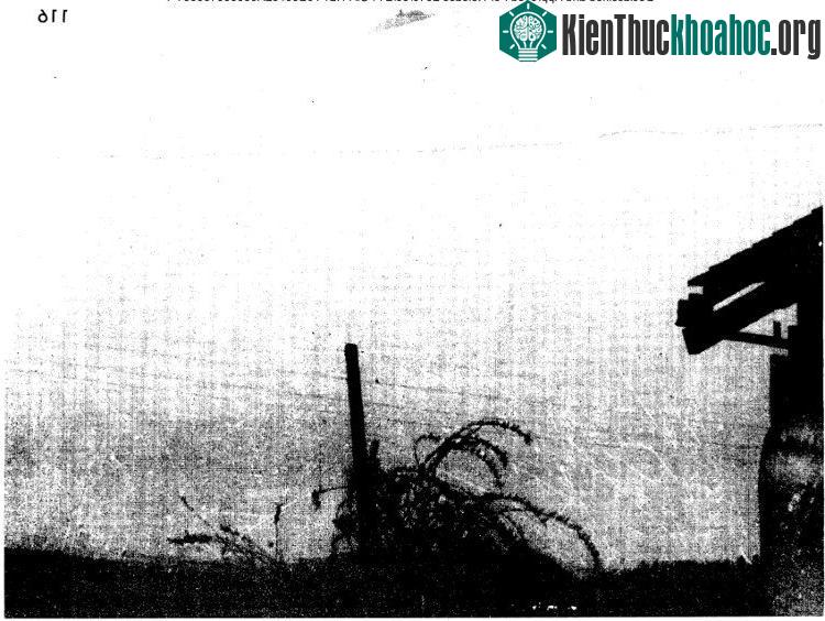 Một số hình ảnh trong 13 triệu tài liệu tuyệt mật về UFO của CIA ảnh 1