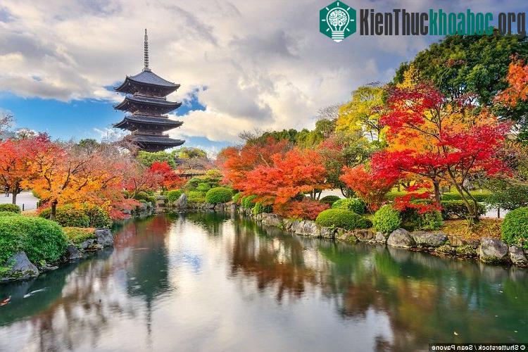 Ngôi chùa Toji, Kyoto, Nhật Bản