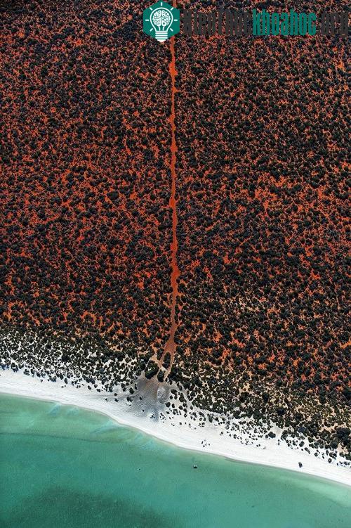 Con đường của ngư dân ở Shark Bay.
