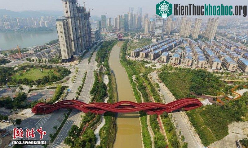 Cây cầu dài 183,95m với ba làn đường đi bộ và 5 nút thắt, kết nối hai công viên nằm hai bên bờ cảng Vua Rồng.