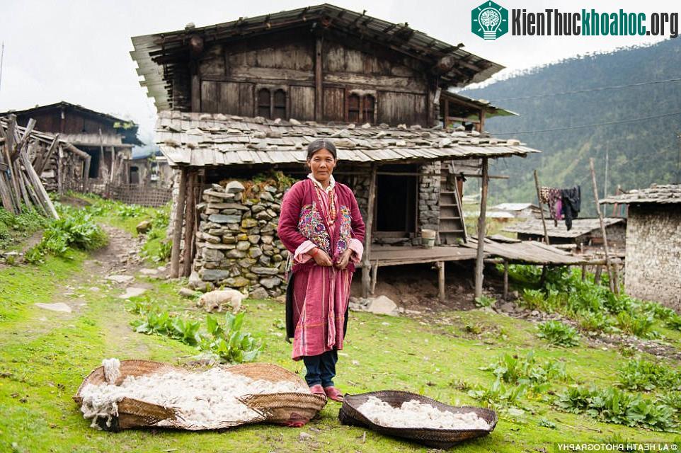 Người Brokpa xuất thân từ vùng Tshoona, Tây Tạng, và nguồn sống chính là những loài động vật. Họ đã sống ở khu vực biên giới gần bang Arunachal Pradesh, Ấn Độ hàng thế kỷ qua bằng nghề nuôi bò yak,...
