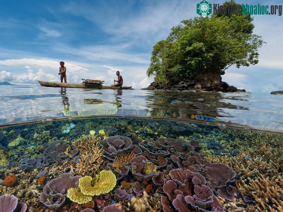Papua New Guinea là một quốc đảo xinh đẹp