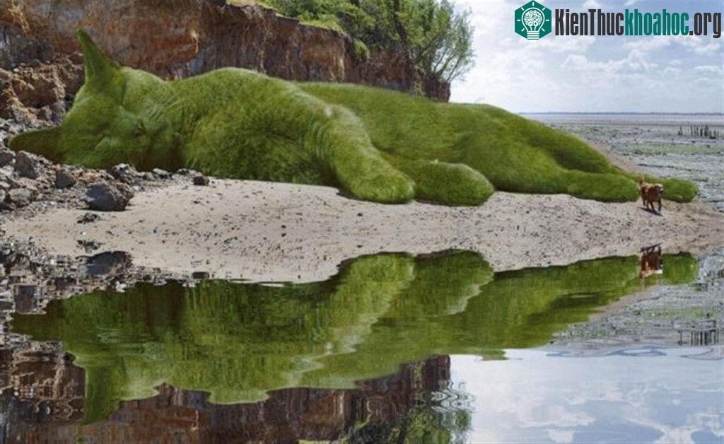 Những chú mèo khổng lồ khiến người xem hoa mắt ảnh 1