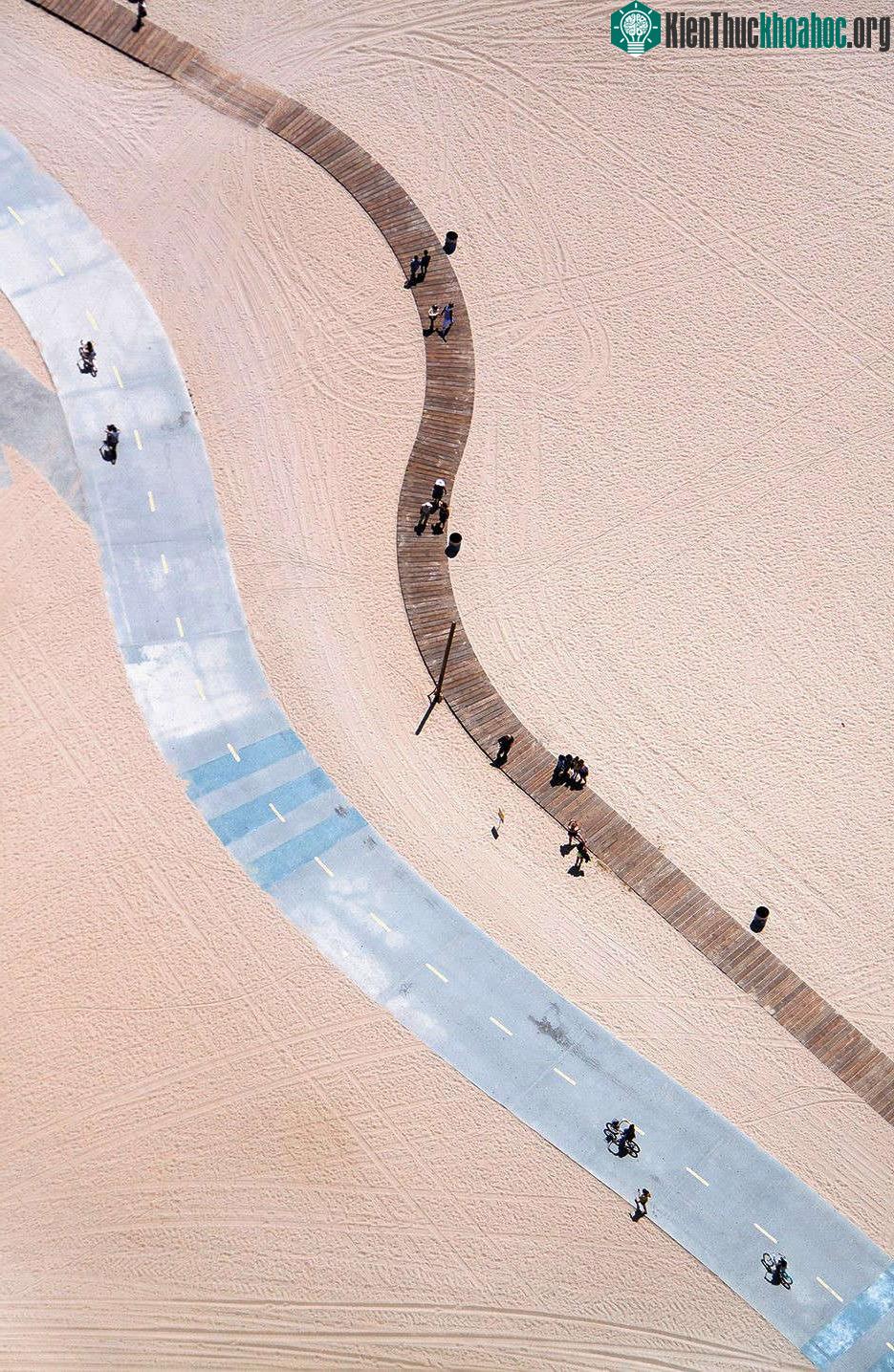 Trên bãi cát ở Santa Monica, California, Mỹ.