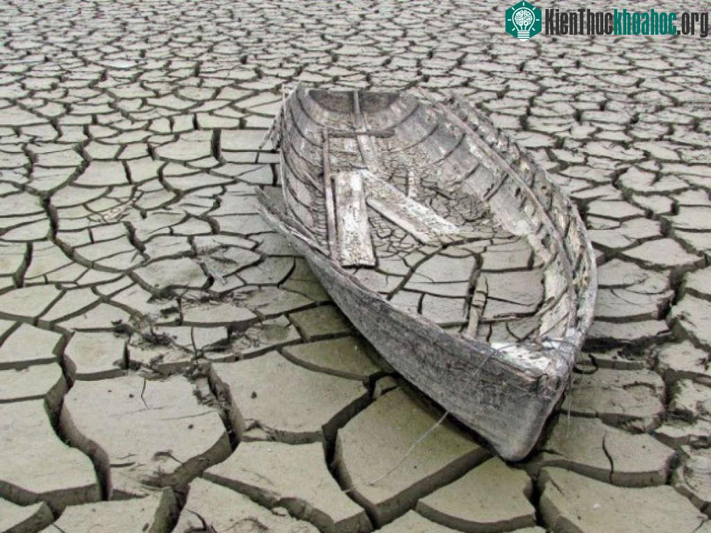Những bức ảnh khiến bạn kinh ngạc vì không thể tin là có thật ảnh 1