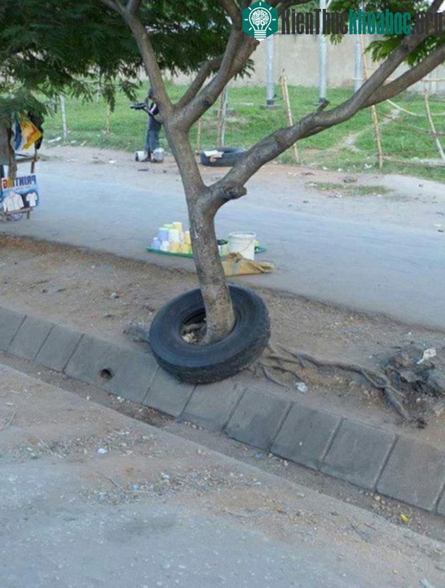 Một hình ảnh khiến nhiều người phải đứng lại chỉ để nhìn, trông thì có vẻ đơn giản nhưng bạn thử làm điều tương tự xem.
