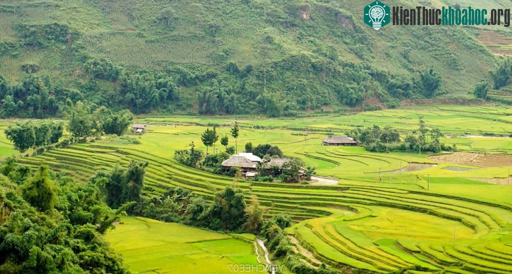 Thong thả chạy xe trên đèo Khau Phạ, một trong những con đèo huyền thoại Tây Bắc để sang với thị trấn Mù Cang Chải, vừa đi vừa ngắm cảnh núi non hùng ...