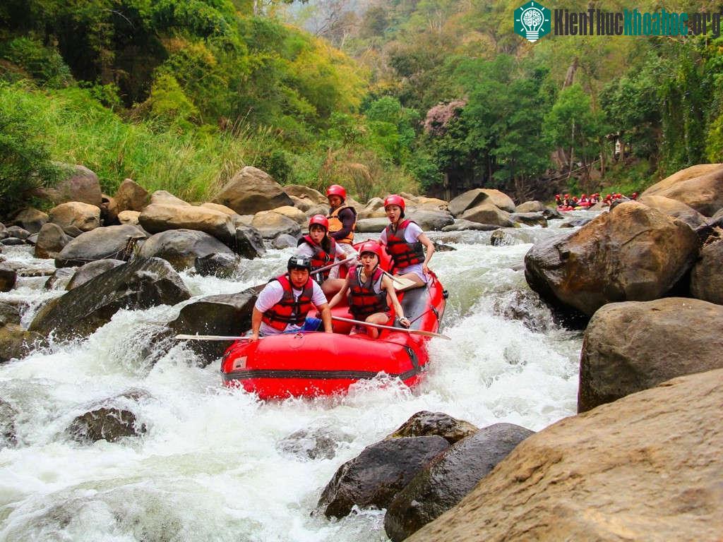 Ngoài ra, bạn có thể chèo thuyền vượt thác trên sông Tully ở Bắc Queensland qua khu rừng nhiệt đới di sản thế giới.