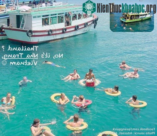 Đảo Koh Phi Phi nổi tiếng là nơi lặn biển tuyệt đẹp của Thái Lan thì Nha Trang của Việt Nam ta cũng chẳng hề thua kém với rạn san hô và làn nước xanh ...
