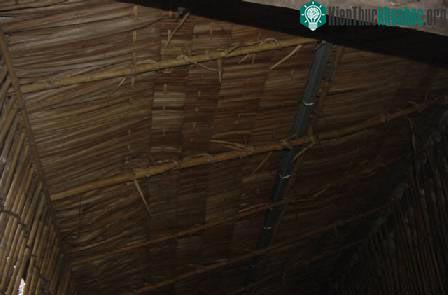 Biết về cá của mình (phần 1) ảnh 12