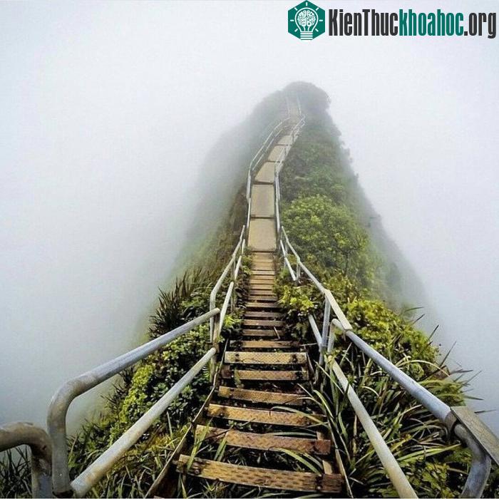 "Nấc thang lên thiên đường" ở Oahu, Hawaii.
