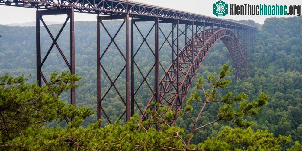 Cầu New River Gorge ở Tây Virginia (Mỹ) nằm giữa khung cảnh tuyệt đẹp. Vào mùa thu, cầu càng trở nên ấn tượng hơn nhờ màu sắc rực rỡ của cây lá xung q...