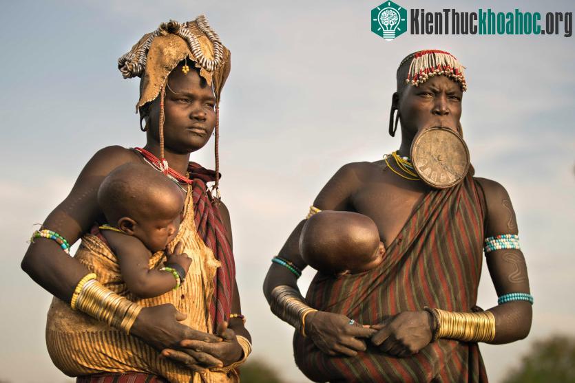 Phụ nữ Mursi nổi tiếng với hình ảnh chiếc đĩa lớn gắn ở môi. Đồ vật "trang trí" này được đặt ở môi dưới từ khi các cô gái Mursi mới 12, 13 t...