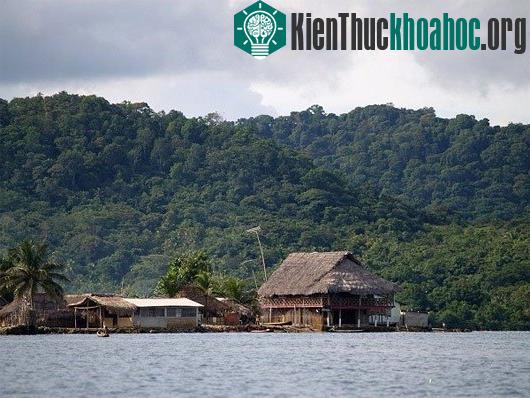 Sự thay đổi khủng khiếp của Trái đất do biến đổi khí hậu- ảnh 13