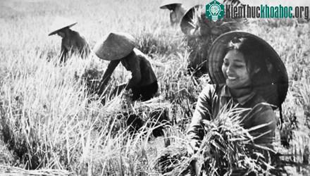 Phụ nữ Việt Nam- ảnh 13