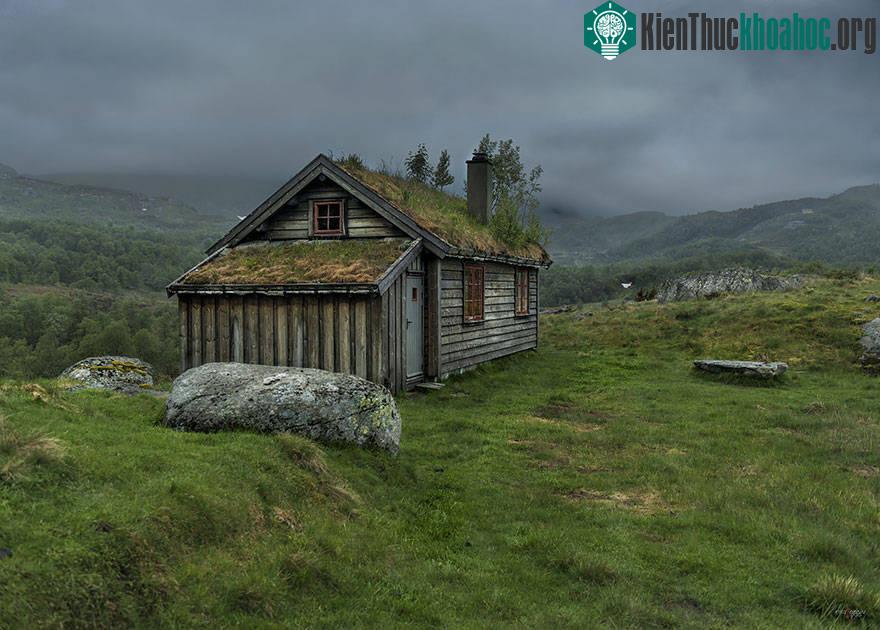 13. Rogaland, Gullingen, Na-uy.